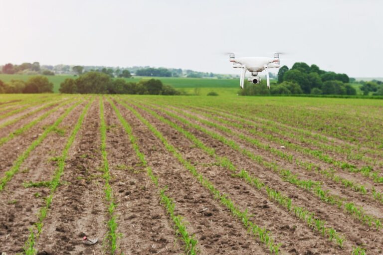 Financiamento para drones agrícolas: opções disponíveis para agricultores com a Radioplan